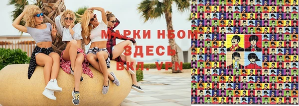 стаф Аркадак