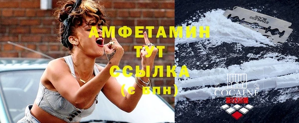 стаф Аркадак