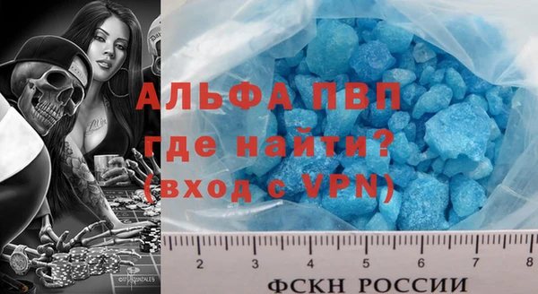 стаф Аркадак