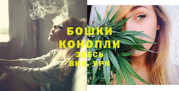 стаф Аркадак