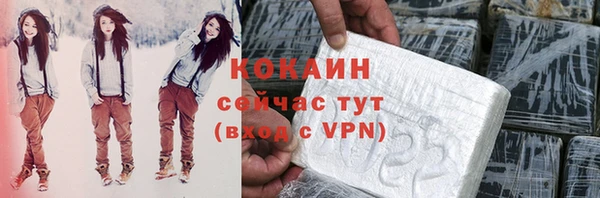 стаф Аркадак